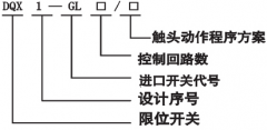 現貨重型限位開關QX1-GL-1/2生產公司廠家